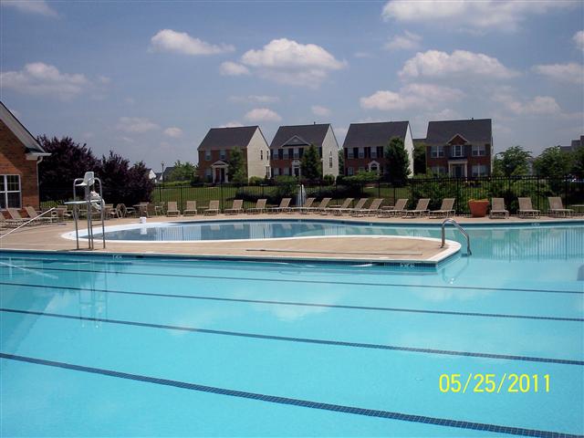 Community pool facing the condominium section of the community. thumbnail
